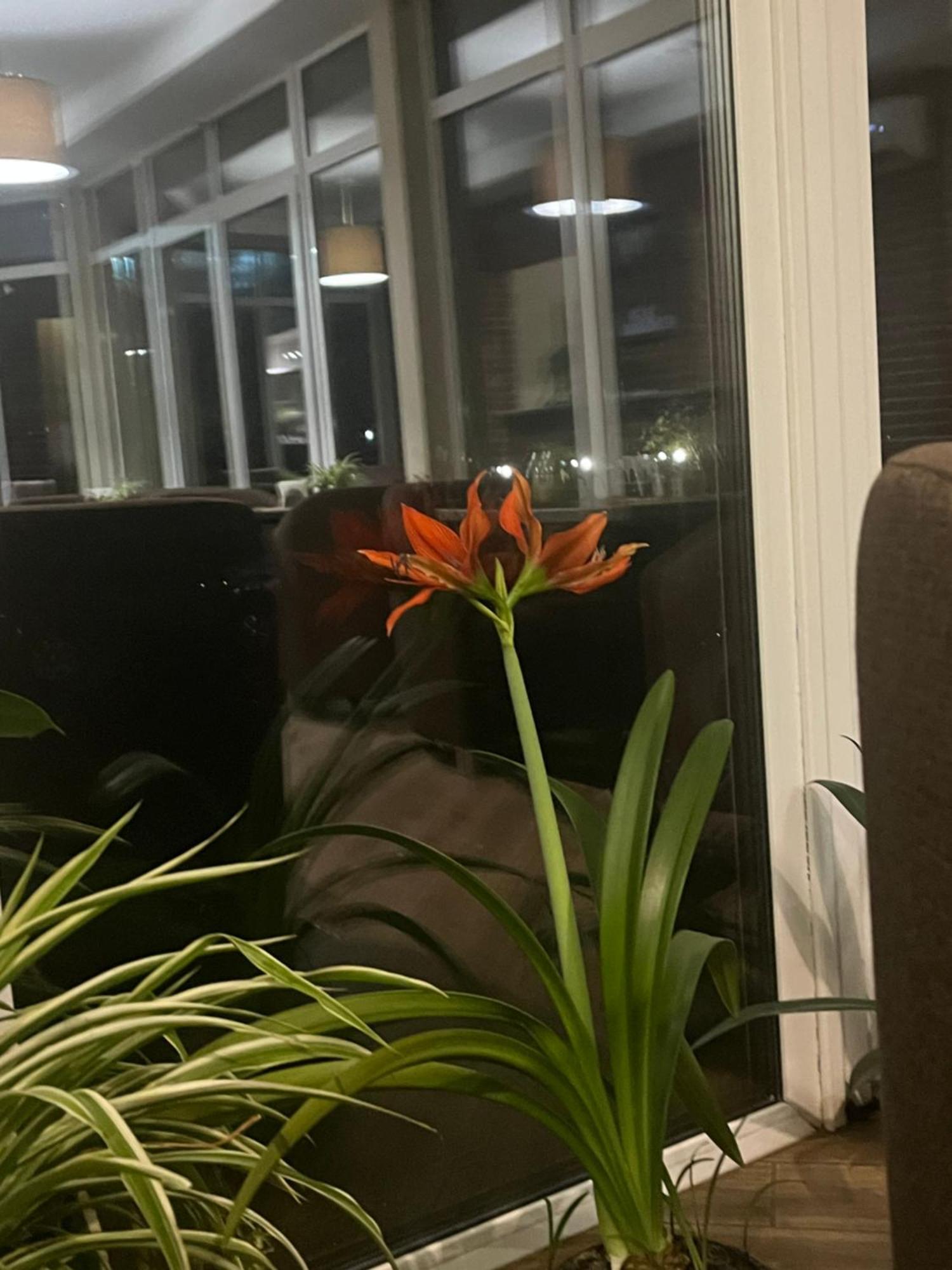 Hotel Sofiivka Konopnitsa Εξωτερικό φωτογραφία